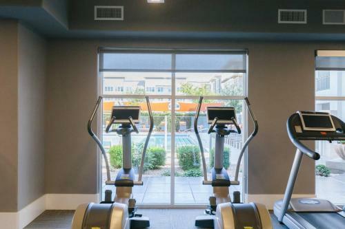 Apartamento Stunning 3 Br/2 Ba With Pool And Gym By Howard