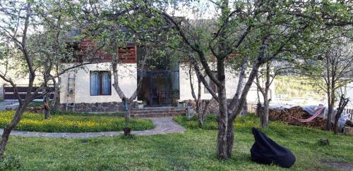 Hostal Ioska's House