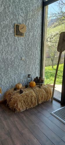 Hostal Ioska's House