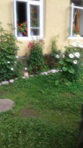 Hostal Welcome To Ushba