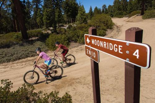 Slice Of Paradise-1758 By Big Bear Vacations