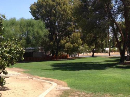 Roadrunner Club 321 Home