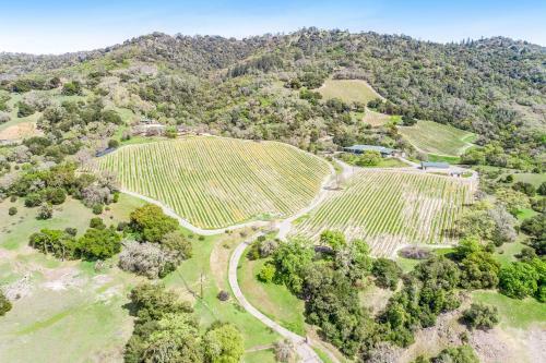 Woodhawk Vineyards Estate