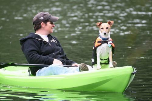 Blue Cherry! Redwoods! Bbq Grill! Fire Table! Ping Pong! Fast Wifi!! Dog Friendly!