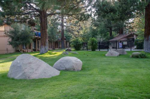 Villa De Los Pinos #35