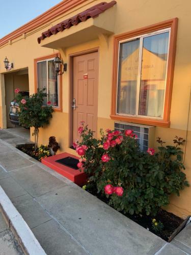 Budget Motel