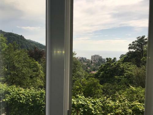 Hostal Gonio Guest House