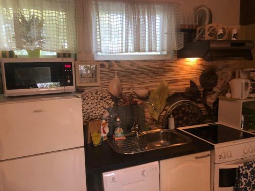 Apartments Savonlinna