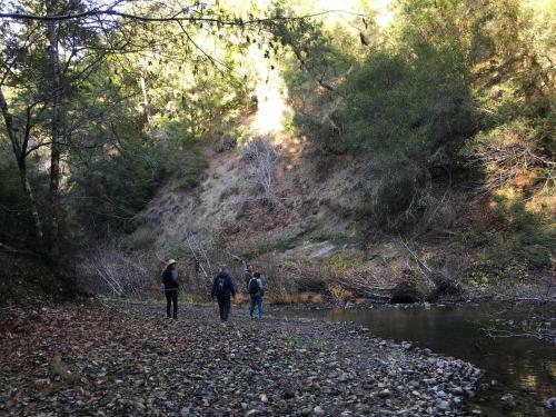 Agroturismo Pescadero Creek Inn