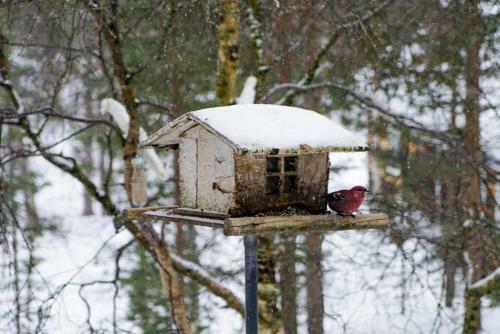 Bed & Breakfast Nelj�n Tuulen Tupa