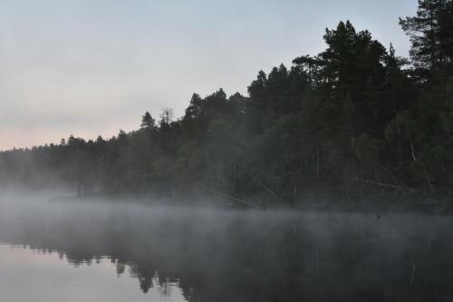 Lemmenjoki Camping & Cabins