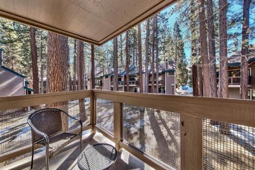 513 Pine Grove