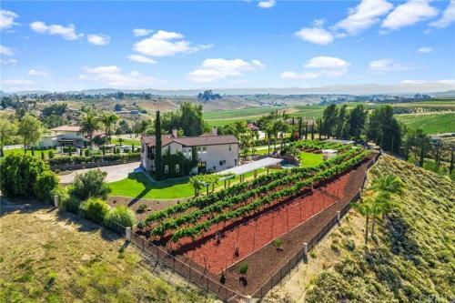 Tv-404 Endless Vineyard Views