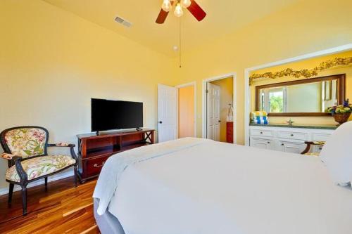 Tv-404 Endless Vineyard Views