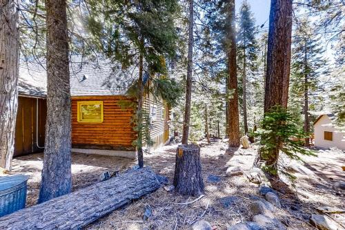 Tahoe Vista Rnr
