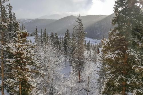 Alma Home With Mtn Views About 20 Mi To Breckenridge