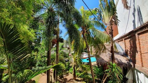 Hotel Pinjalo Resort