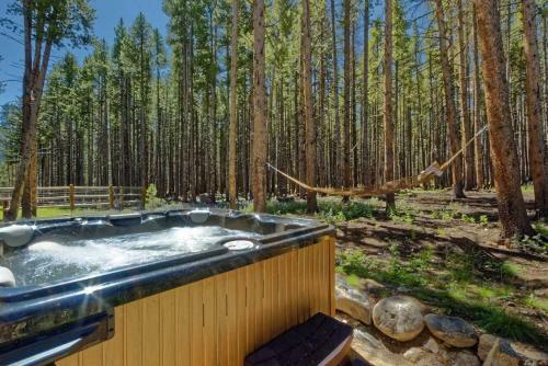 Lazy Fox Lodge In National Forest