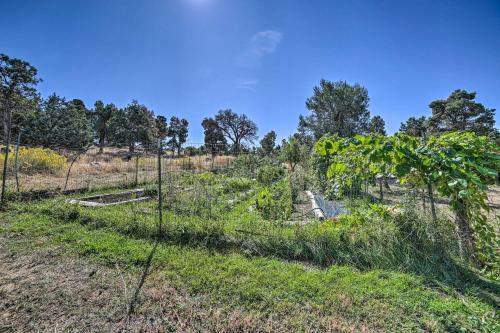Idyllic Dolores Cabin With Fire Pit And Lake Views!