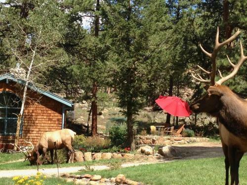 Bed & Breakfast Romantic Riversong Inn