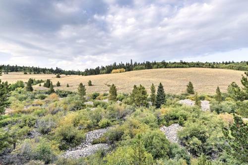 Exceptional Fairplay Getaway With Deck And Valley View!