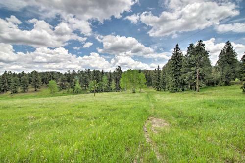 Modern Evergreen Cabin On 35 Acres With Views!
