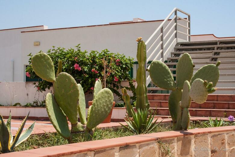 Hotel Capo Rossello