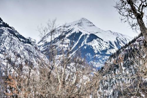 Cozy Home With Grill - 2 Mi To Ouray Ice Park!