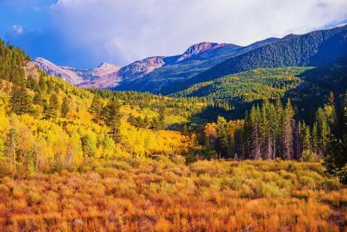 Apartamento Vail International 407