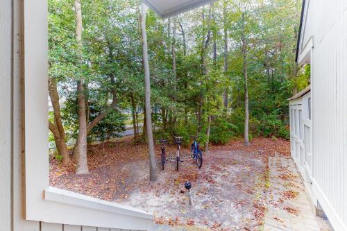 Sea Colony Woodland