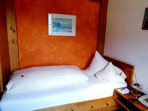 Hotel Alpin