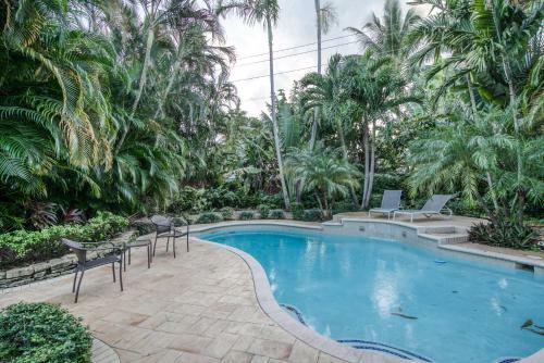 Tropical Hideaway