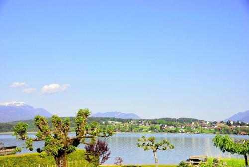 Hostal Pension Und Ferienwohnungen Goldene Rose