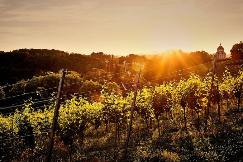 Hotel Loisium Wine & Spa Resort S�dsteiermark