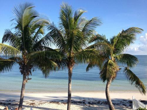 Coral Cottage 2bed/2bath Half Duplex With Dockage & Cabana Club