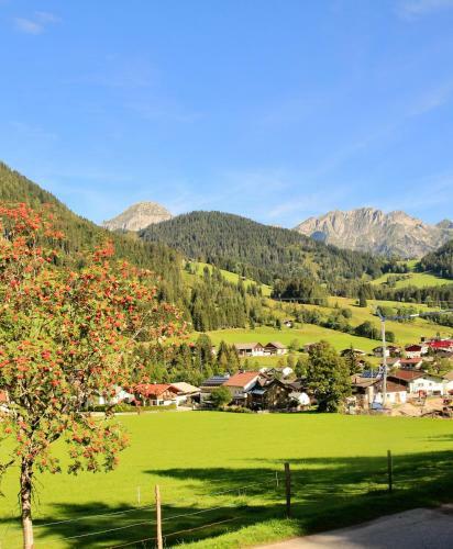 Hotel Alpenhof Pension