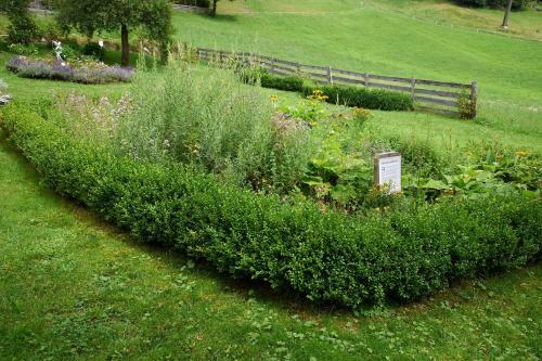 Agroturismo Appartement Ferienhof Ortnergut