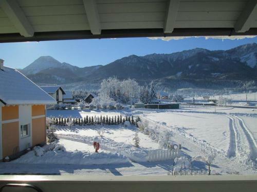 Apartments Steger
