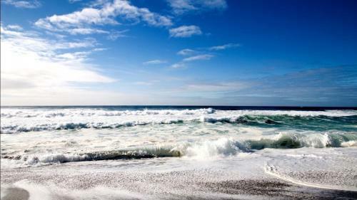 Apartamento Affordable Beach Condos - One Bed Budget With Full Kitchen Condo