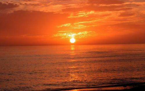 Walk To The Beach Or Village In Minutes!