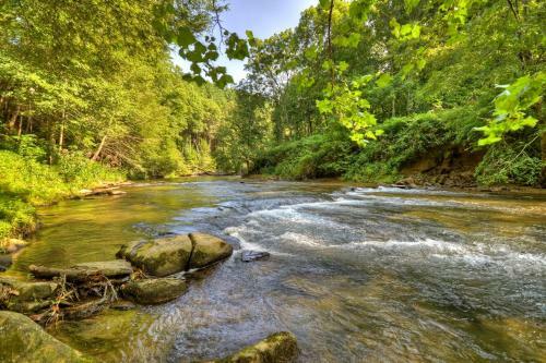 Creektopia