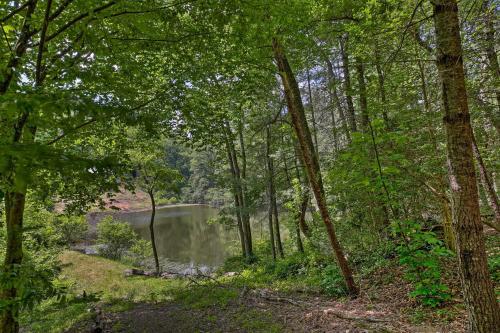 A Sunset Dream - Upscale Blue Ridge Cabin!