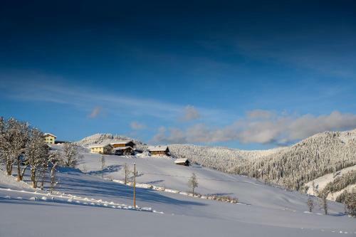 Hostal Gasthof Horner