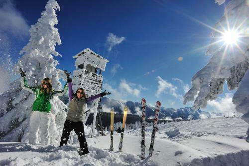 Chalet Schneiderh�usl
