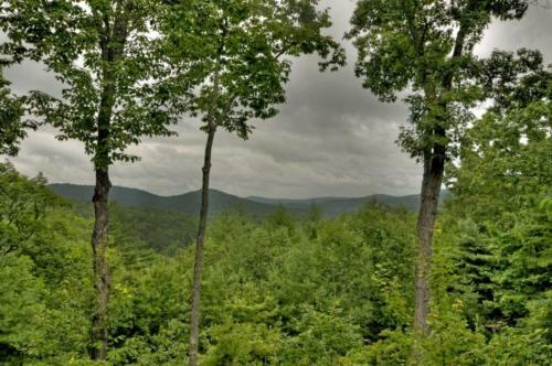 Treasure In The Trees- Mtn Views Near Blue Ridge