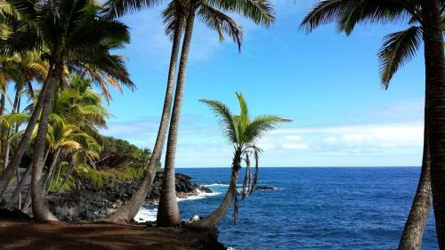 Apartamento Maluhia Kahakai Condo