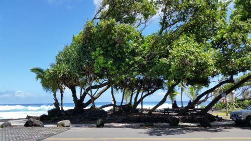 Apartamento Maluhia Kahakai Condo