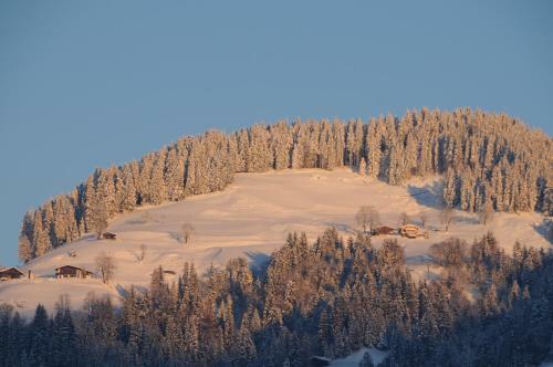 Sporthotel Tirolerhof
