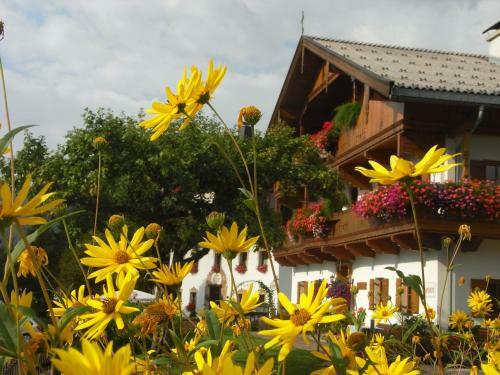 Agroturismo Hofbauer