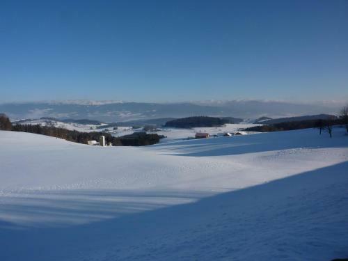 Hostal Gasthof Greiner
